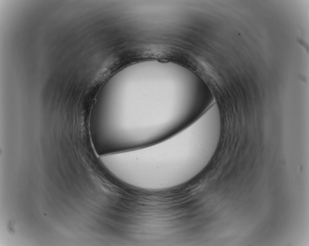 X0000097970312200803241025