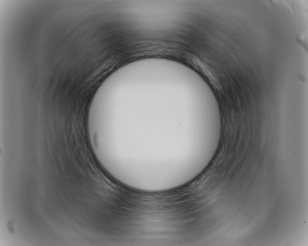 X0000097970313200803241025