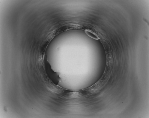X0000097970320200803241025