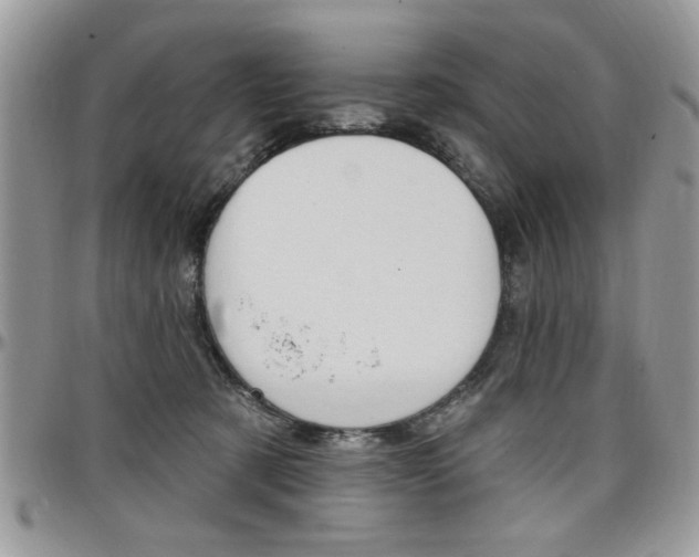 X0000097970321200803241025