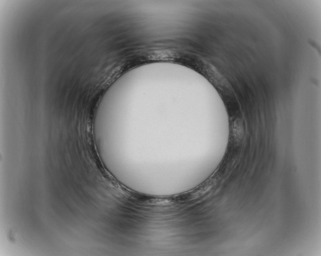 X0000097970322200803241025