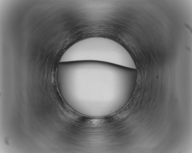 X0000097970323200803241025