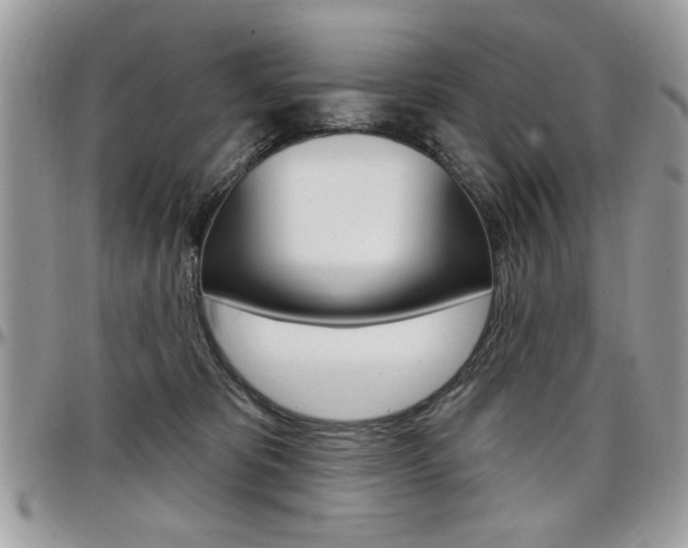 X0000097970325200803241025