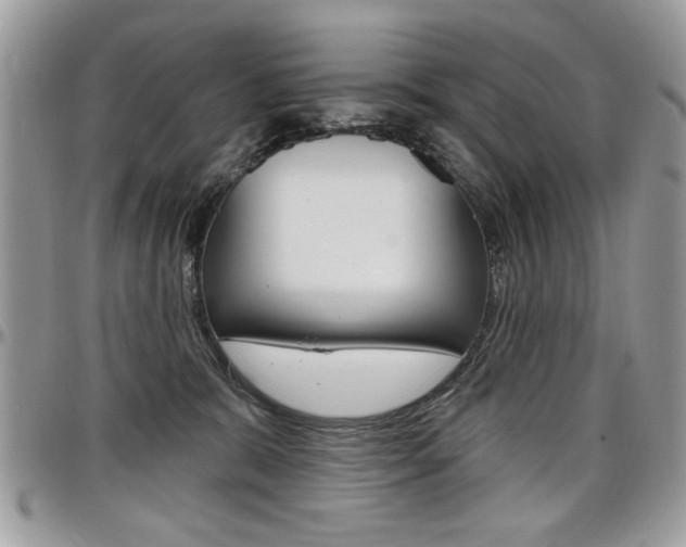 X0000097970327200803241025