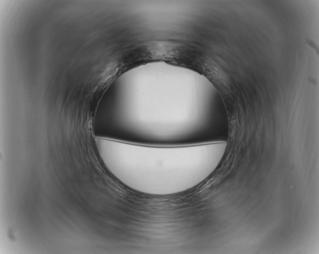 X0000097970329200803241025