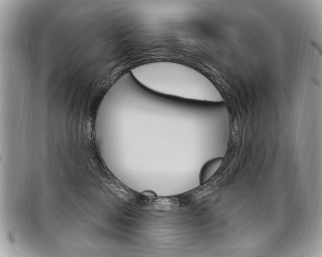 X0000097970330200803241025