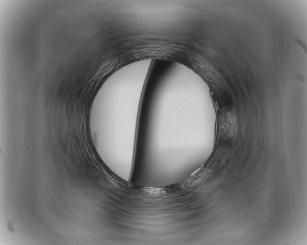 X0000097970333200803241025