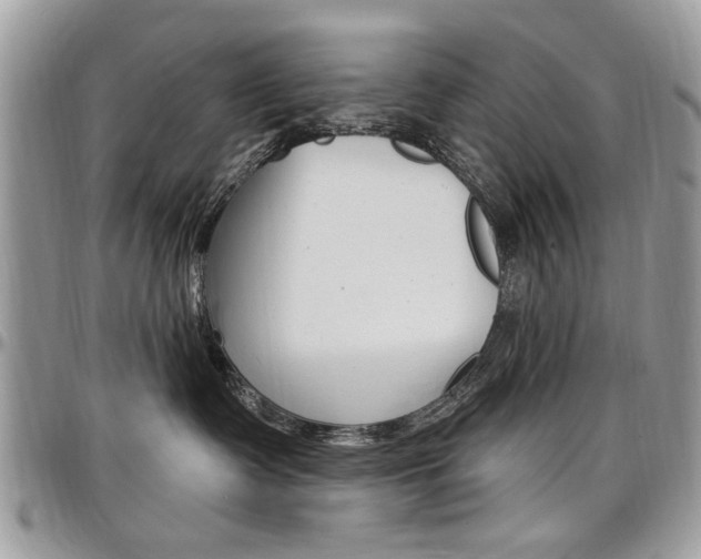 X0000097970335200803241025