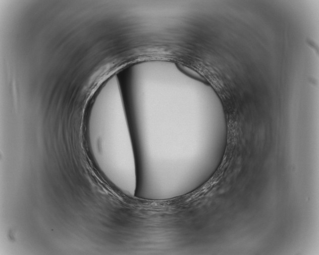 X0000097970338200803241024