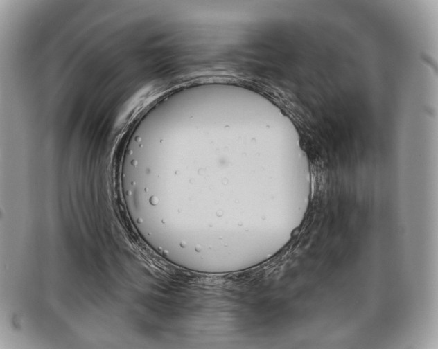 X0000097970339200803241024