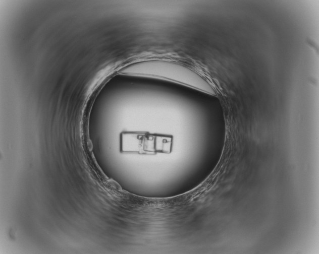 X0000097970340200803241024