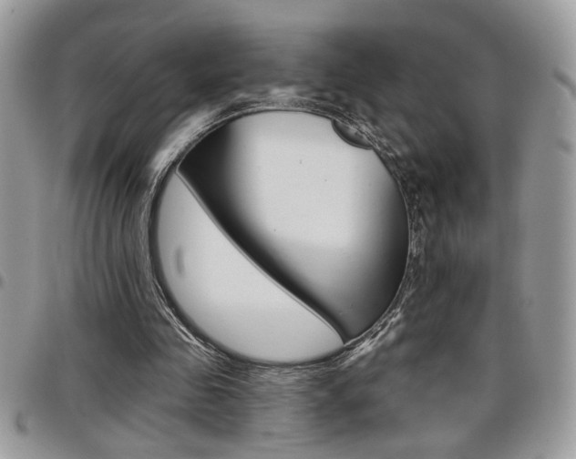X0000097970341200803241024