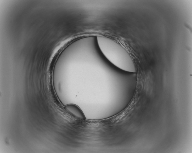 X0000097970342200803241024