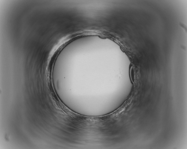 X0000097970343200803241024