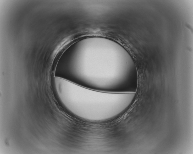 X0000097970344200803241024