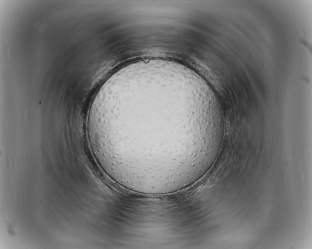 X0000097970347200803241024