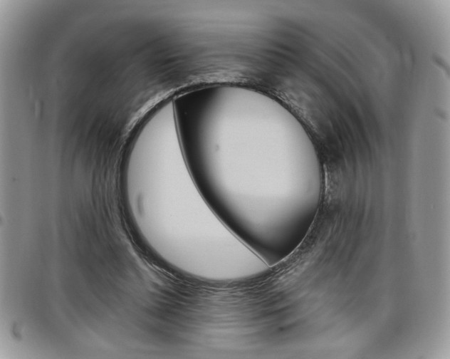X0000097970348200803241024