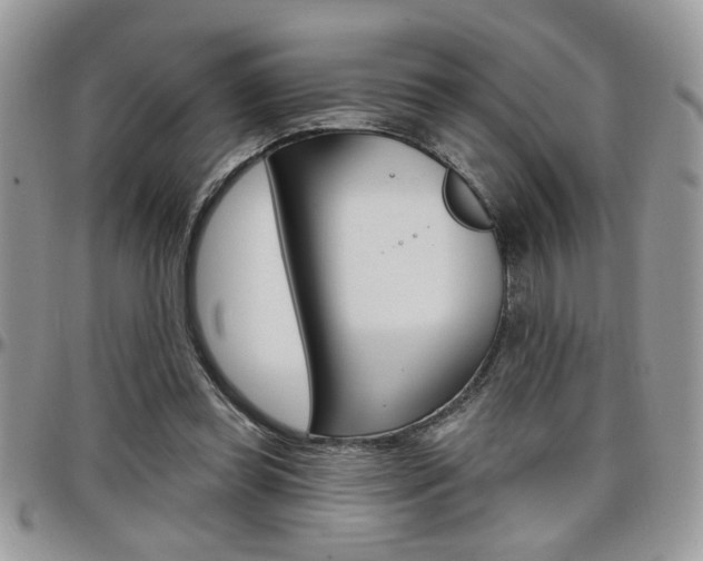 X0000097970349200803241024