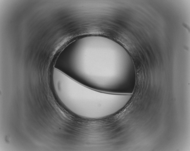 X0000097970350200803241024