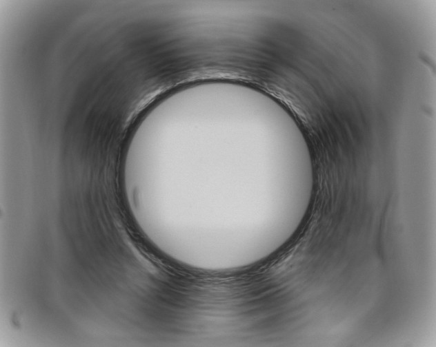 X0000097970352200803241024
