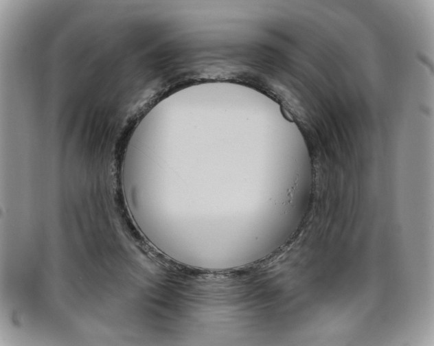 X0000097970354200803241024