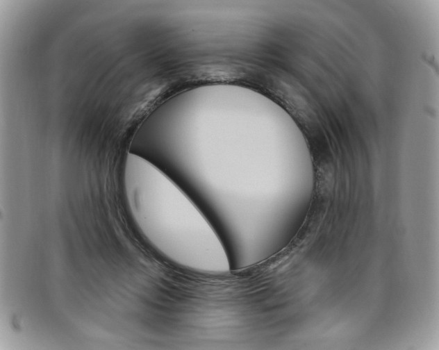 X0000097970358200803241024