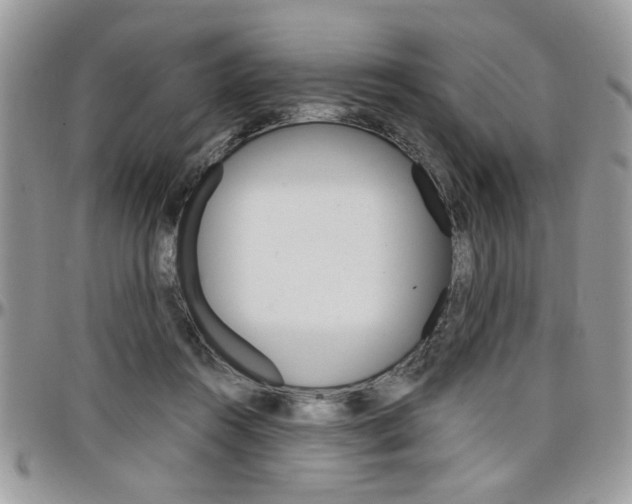 X0000097970360200803241024