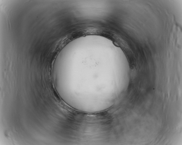 X0000097970361200803241024