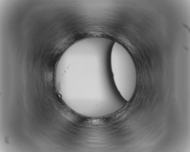 X0000097970365200803241024