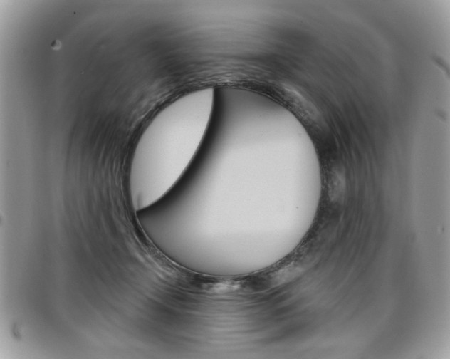 X0000097970366200803241024