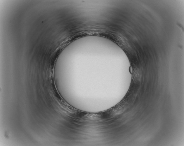 X0000097970367200803241024