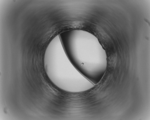 X0000097970368200803241024