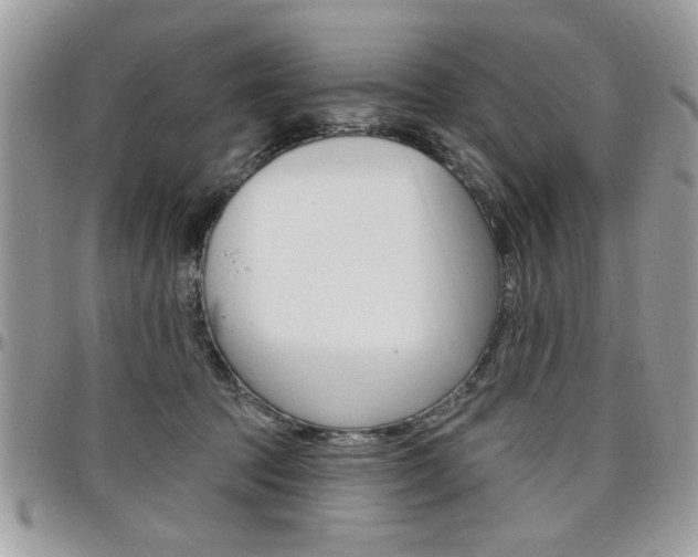 X0000097970369200803241024