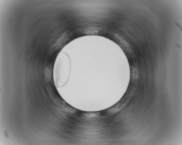 X0000097970370200803241024