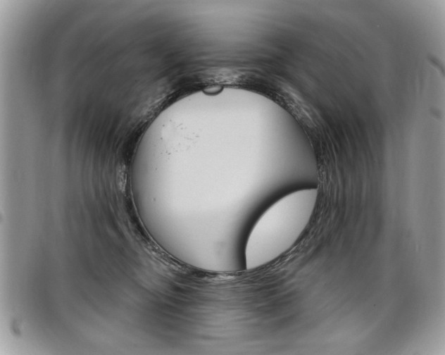X0000097970374200803241025