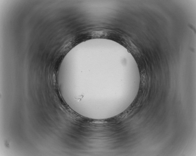 X0000097970375200803241025