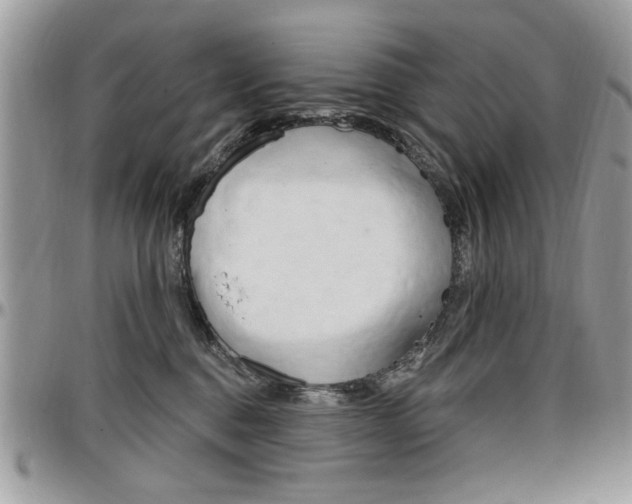 X0000097970376200803241025