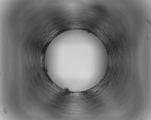 X0000097970378200803241025
