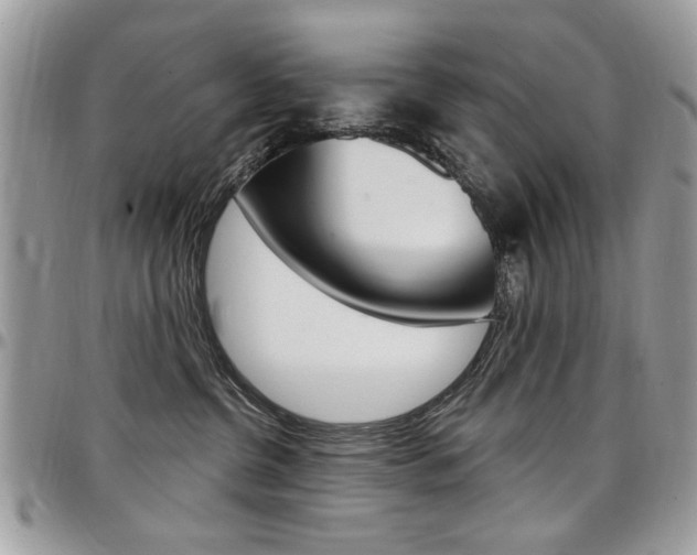 X0000097970380200803241025