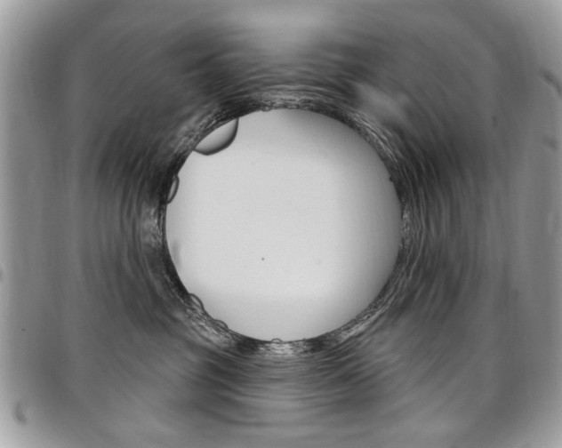 X0000097970381200803241025