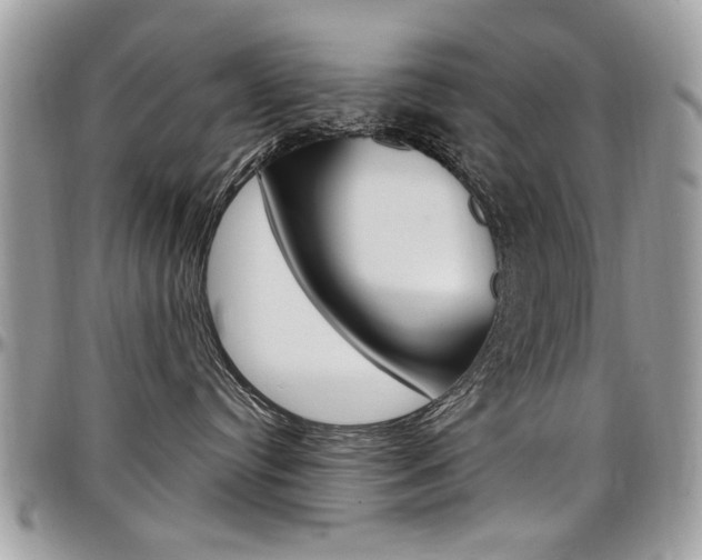 X0000097970384200803241025