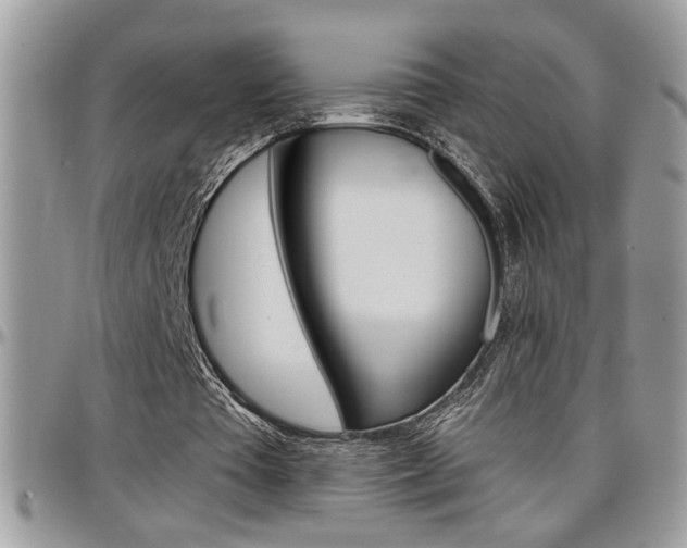 X0000097970385200803241024