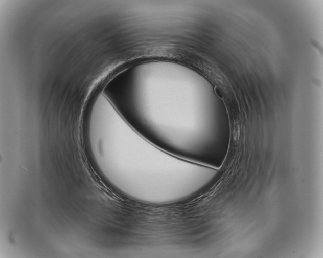 X0000097970388200803241024