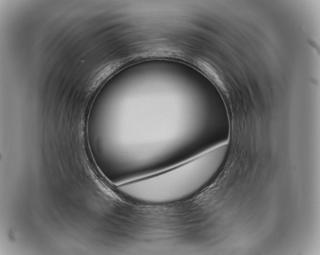 X0000097970389200803241024