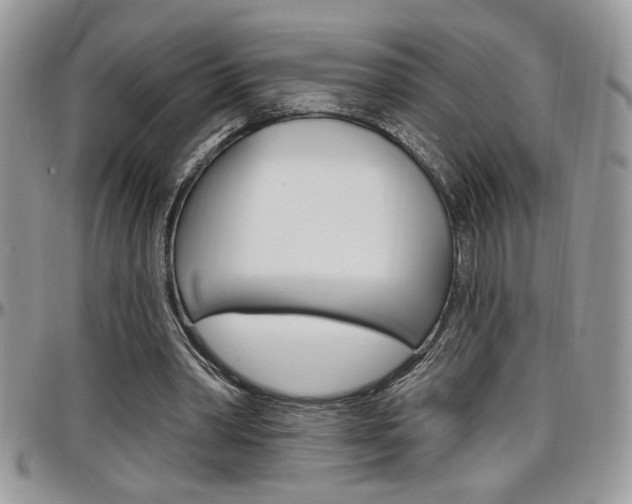 X0000097970390200803241024