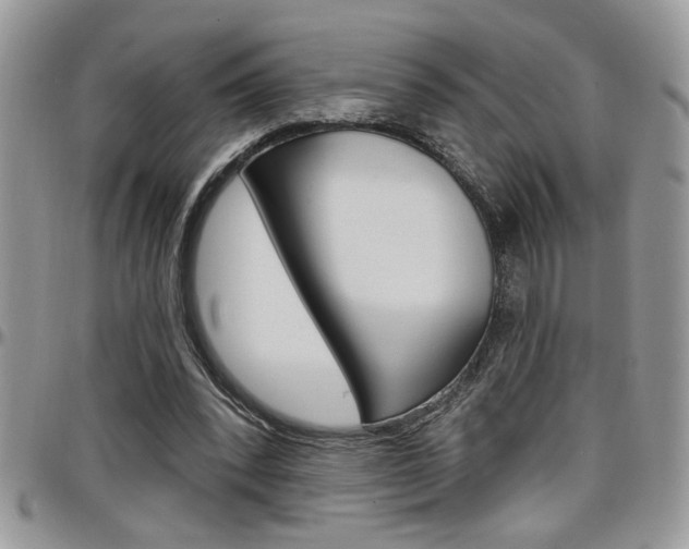 X0000097970392200803241024