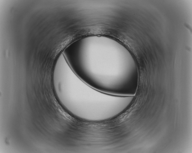 X0000097970393200803241024