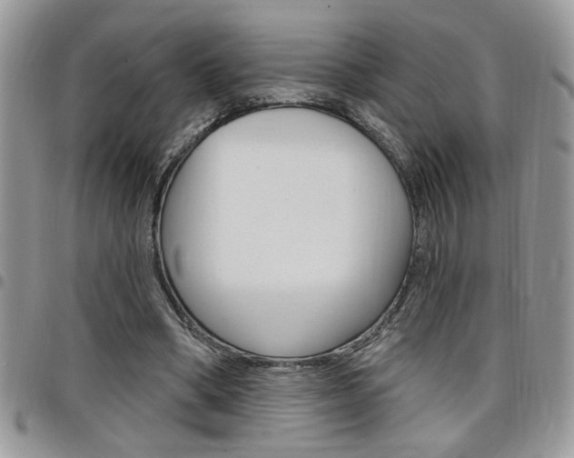 X0000097970394200803241024