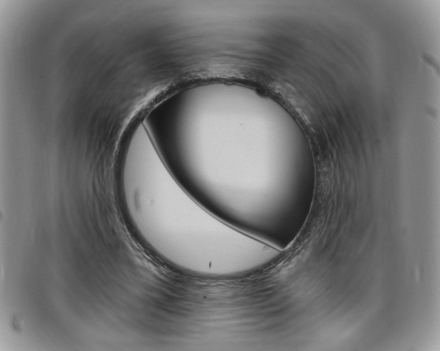 X0000097970395200803241024