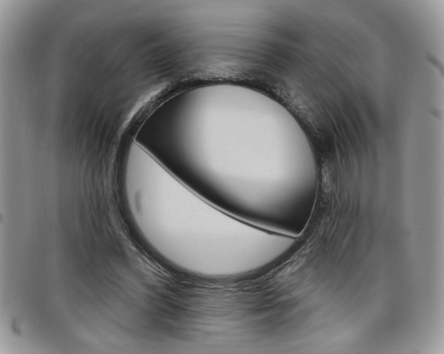 X0000097970396200803241024